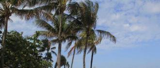 Пляжный отдых в майами бич - юлия малицкая Развлечения и достопримечательности